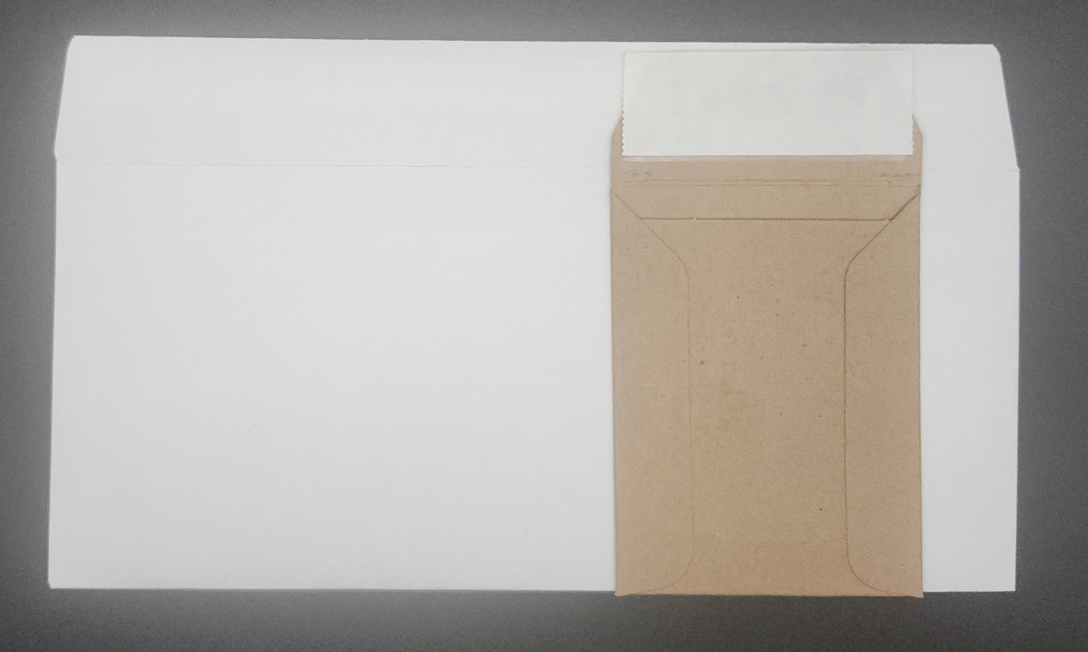 Bundle: Blank P&S - #10 Envelope Non-Window